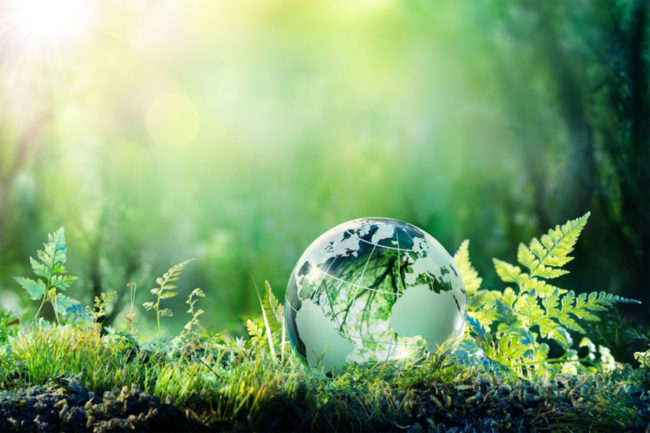 Sustainability taking center stage for consumers in 2023
