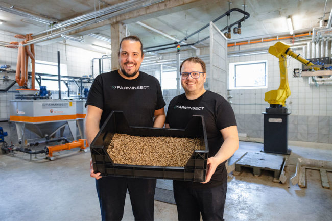 FarmInsect's Founders Thomas Kuehn and Wolfgang Westermeier with a fattening box of black soldier fly larvae