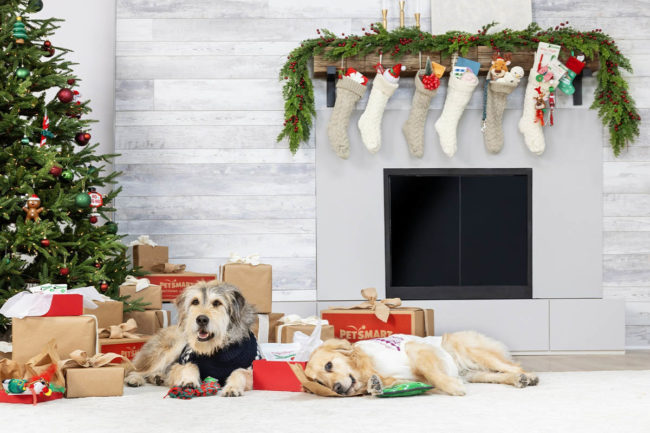 PetSmart transforms into one-stop-shop for the holidays