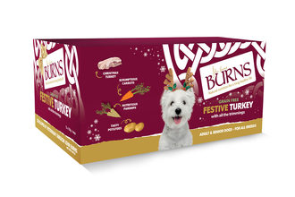 Burns Pet Nutrition unveils Christmas-themed dog food