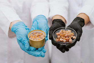 Bene Meat Technologies registers cultured meat for use in EU pet food