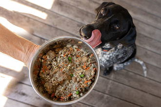 Planet A Pet Food launches with meat-free dog food offering