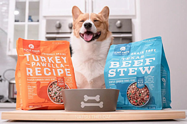 A Pup Above partners with Generation Pet to expand distribution