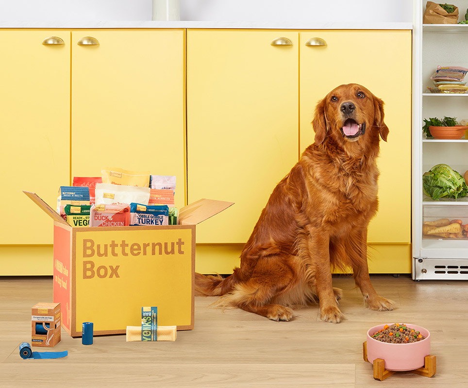 Butternut Box acquires PsiBuffet to bolster fresh dog food business in Europe