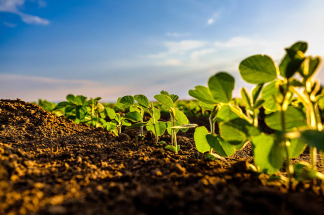 ADM shares global progress, programs supporting regenerative agriculture