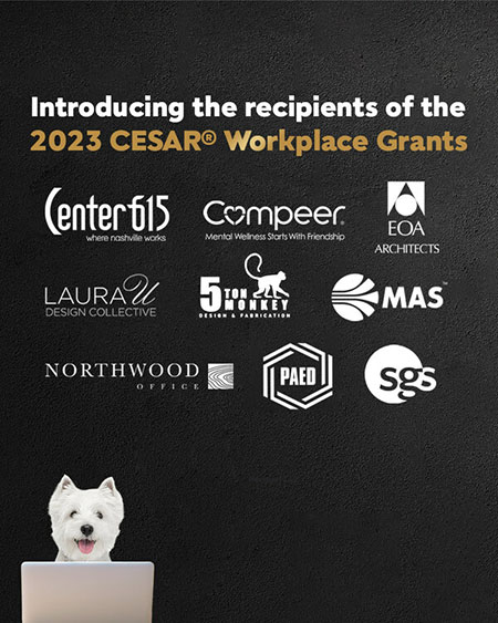 CESAR awards grants to nine businesses