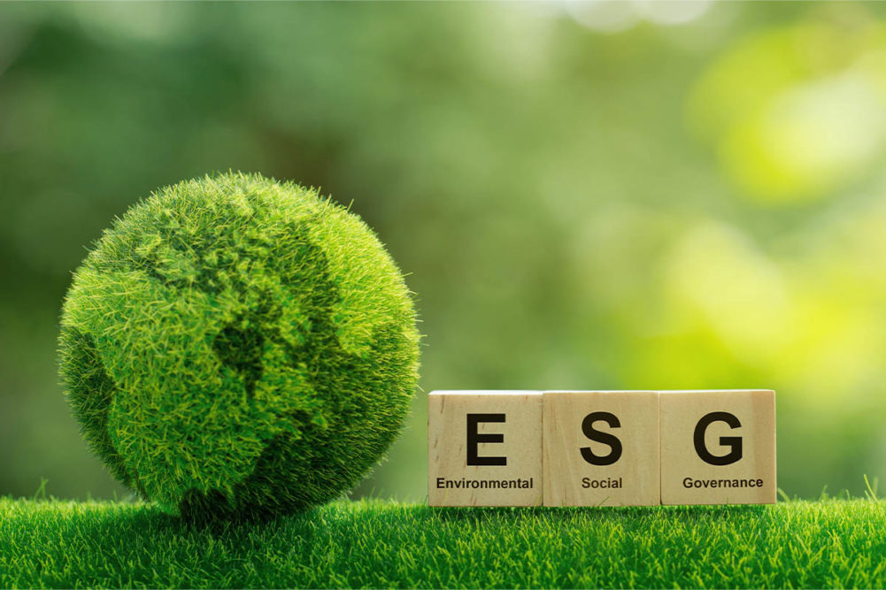 Darling Ingredients recognized for ESG, sustainability by Newsweek
