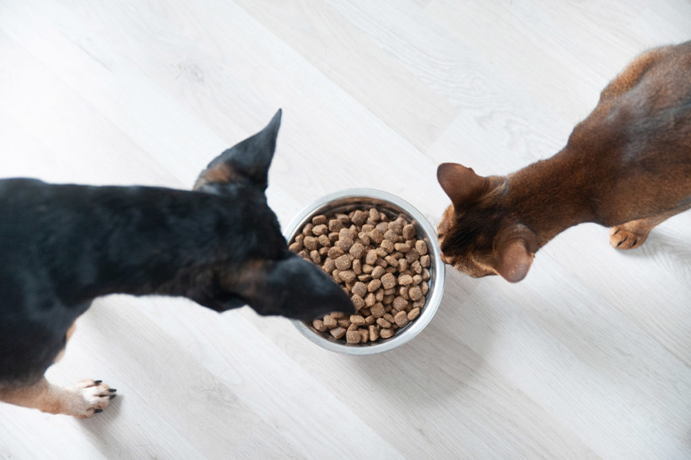 C&D Foods invests millions into Irish pet food processing facility