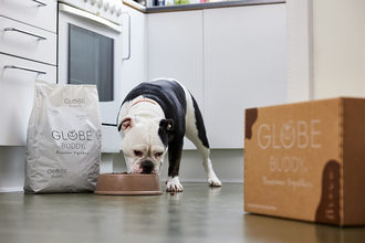 Globe Buddy's new insect-based dog food: Globe Buddy Brown