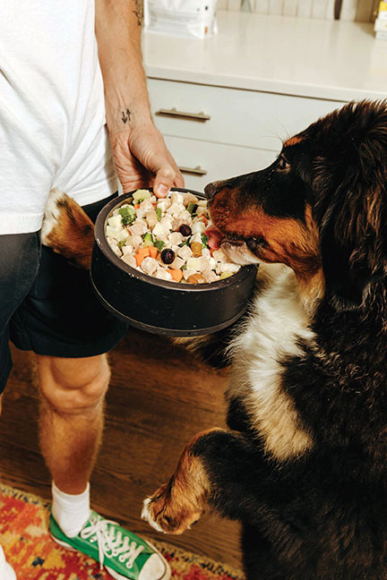 Maev’s human-grade raw food for dogs