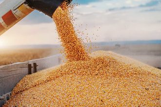 Alltech releases 2023 US Harvest Analysis Report