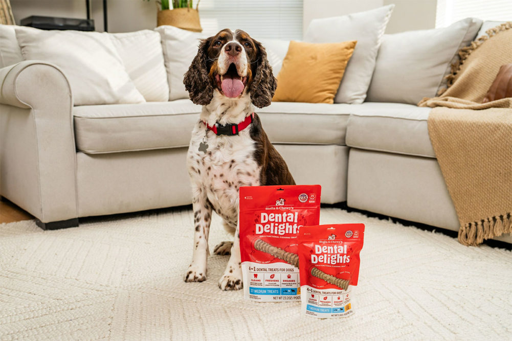 Stella & Chewy's new dental treats for dogs: Dental Delights