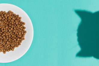 Mintel highlights personalization, naturalization and sustainability trends in pet food industry