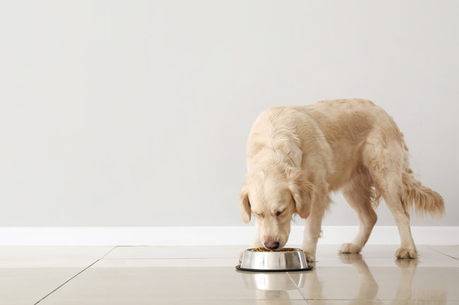AAFCO Workgroup votes for new copper guidelines in dog food