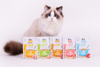 VAFO Group launches Brit Care Cat Soups, supporting urinary health in felines