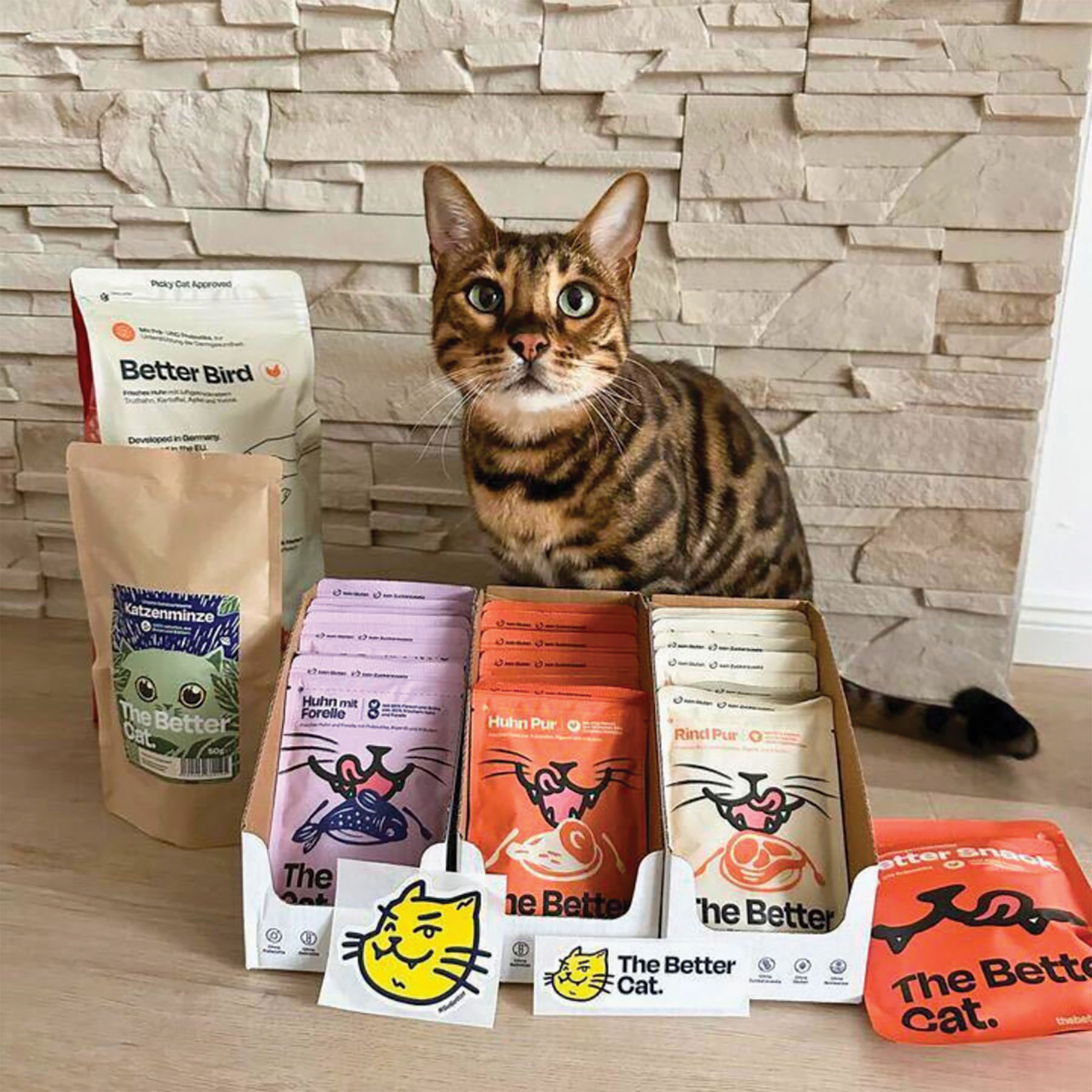 The Better Cat originally launched with a line of dry cat foods but has since expanded its cat-centric offerings to include wet formats, treats and even supplies