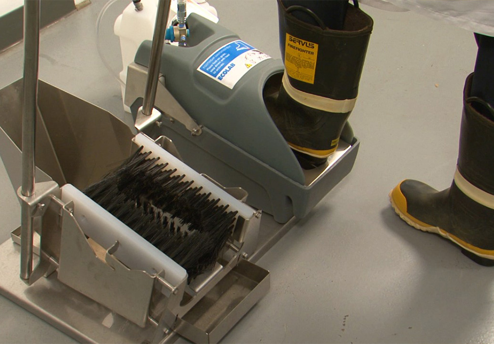 Sanitation isn’t only about large procedures; sometimes, small things such as providing boot scrubbers for employees to use as they go on and off the processing floor can make a huge difference