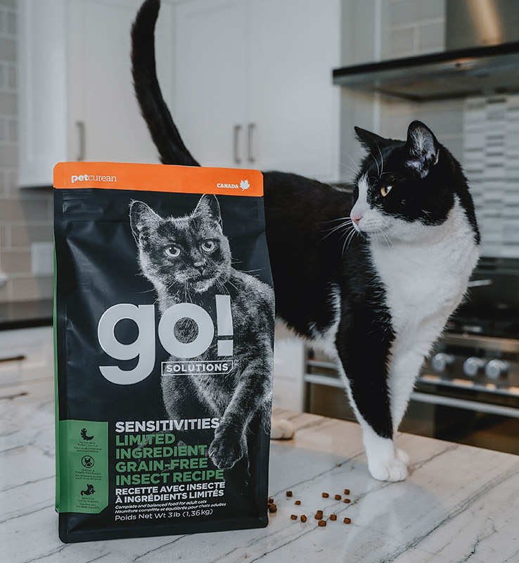 Petcurean's Go! Solutions Sensitivities Limited Ingredient Grain-Free Insect Recipe