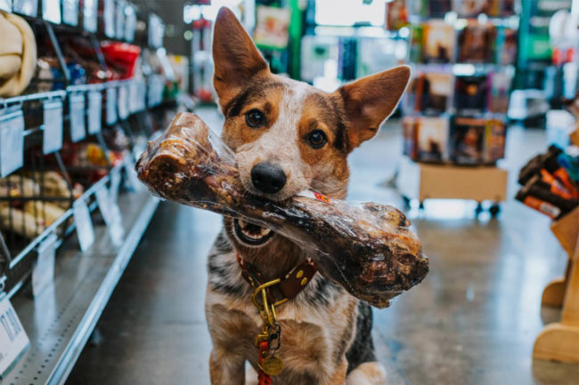 Pet Supplies Plus partners with DoorDash for same-day pet product delivery