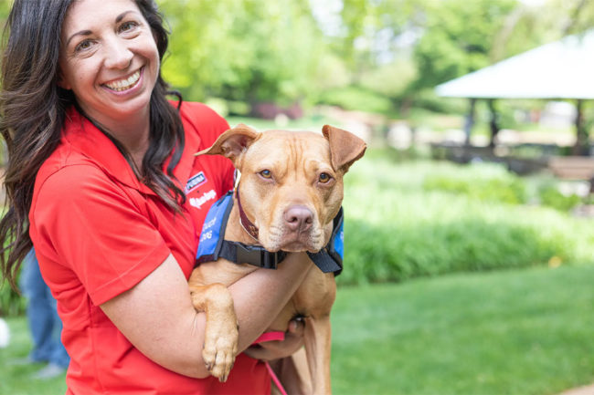 Purina employees and their dogs have the opportunity to be Touch Therapy certified through the Duo Dogs Touch Therapy Training program, enabling comfort and healing in youth and adult facilities around the St. Louis area.