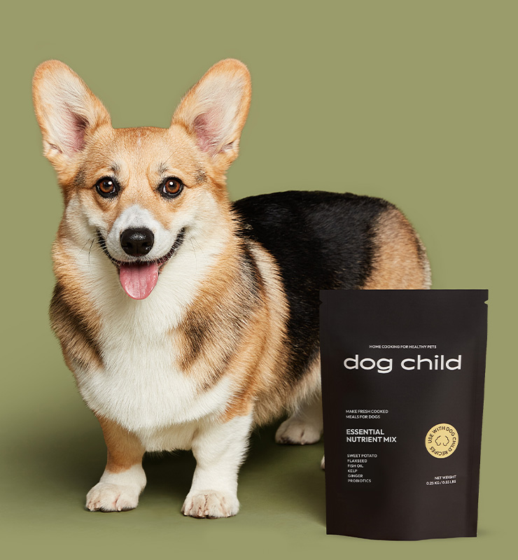 Dog Child was one of four pet nutrition-focused startups selected to participate in the spring 2024 cohort of Plug and Play Topeka's accelerator program