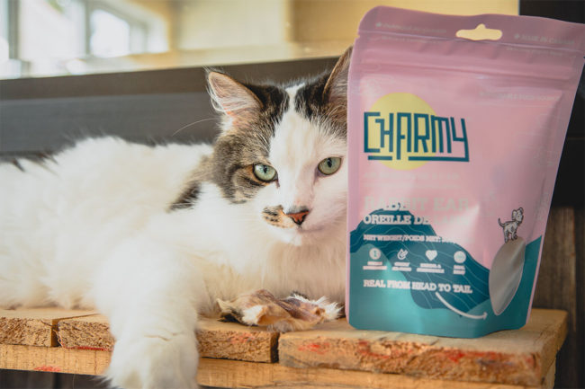 Charmy Pet partners with Animal Supply Company to enter US market