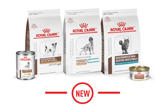 Royal Canin's new Gastrointestinal diets