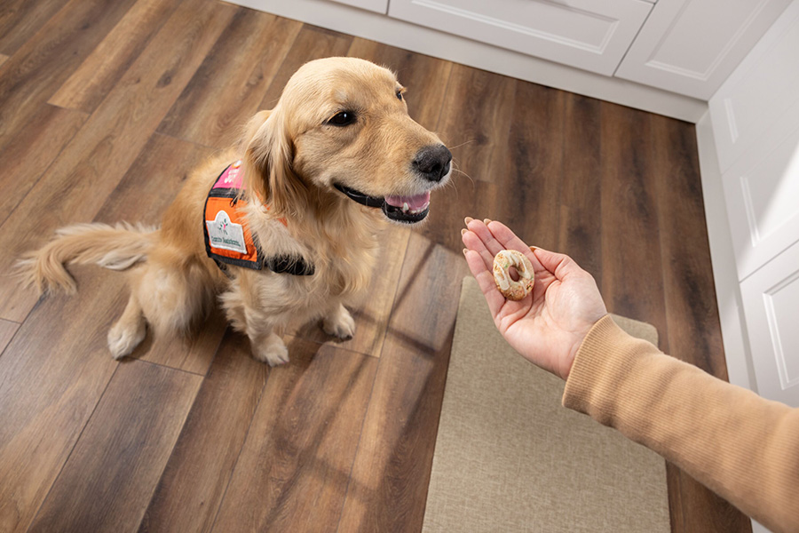 Milk-Bone's new Dunkin' Vanilla Glaze Flavor Biscuit for dogs