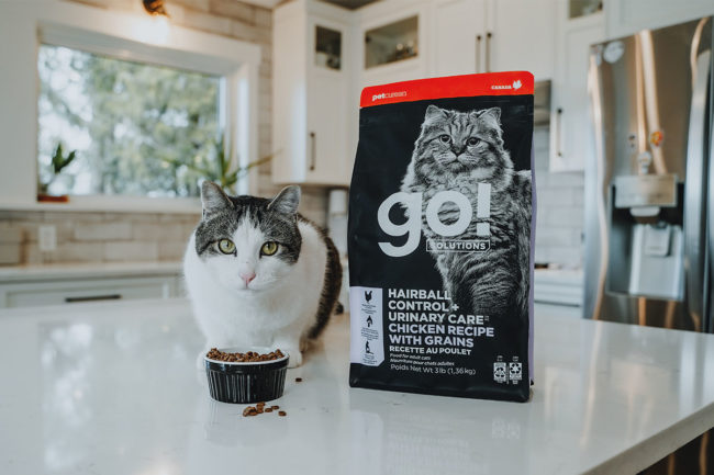 Petcurean's new Go! Solutions Hairball Control + Urinary Care functional cat food
