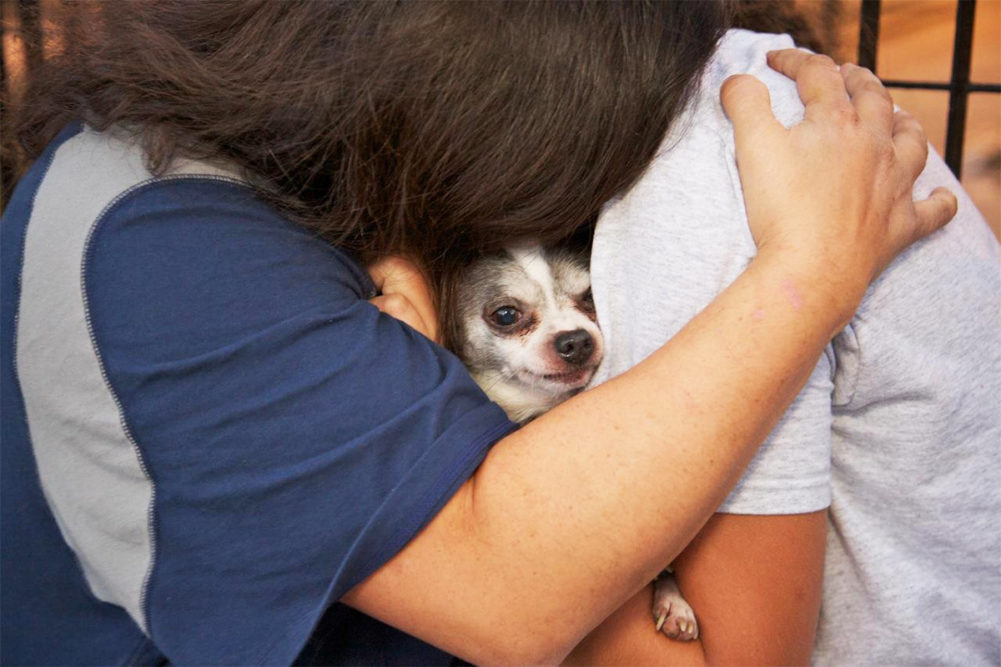 PetSmart Charities fighting pet food insecurity