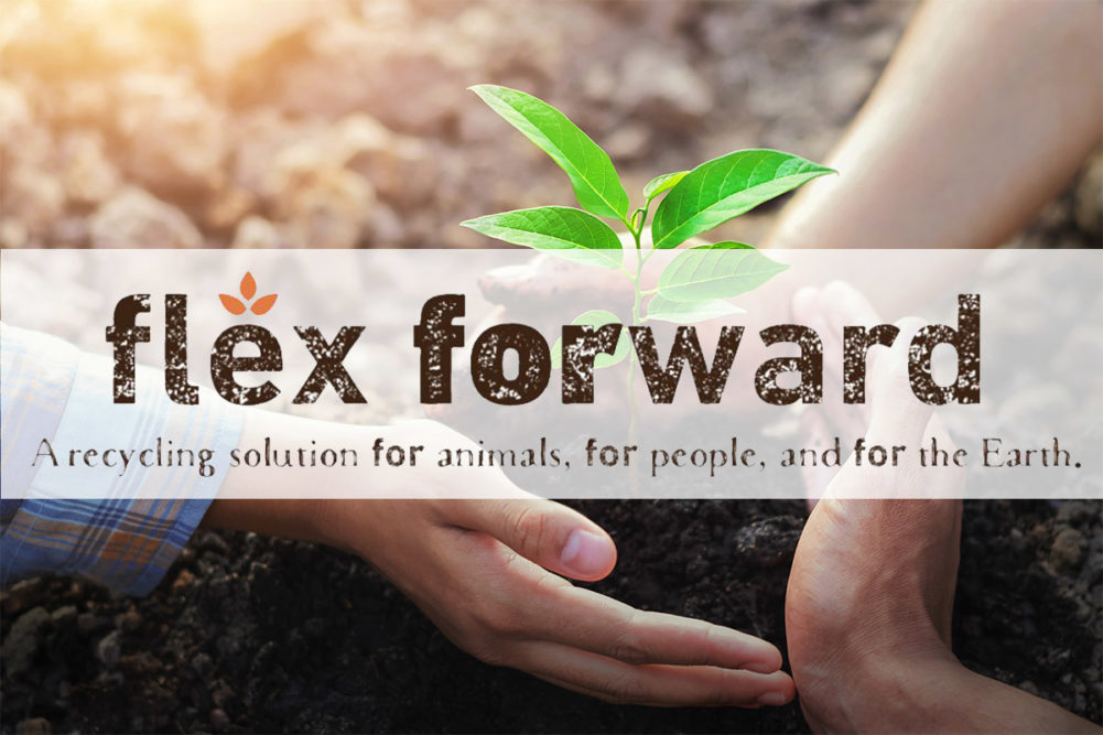 Flex Forward wraps up pet food packaging recycling pilot with success