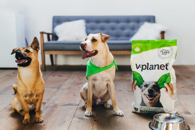 V-planet vegan dog food now available in Japan, South Korea
