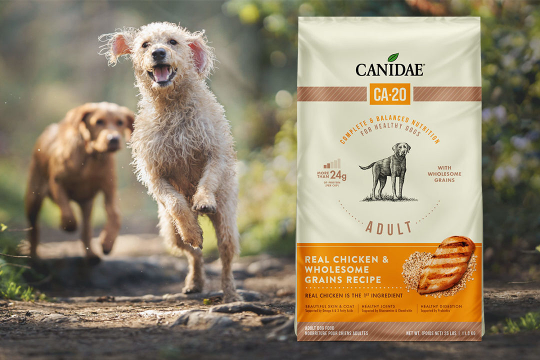 Canidae launches dog food line with varying protein levels
