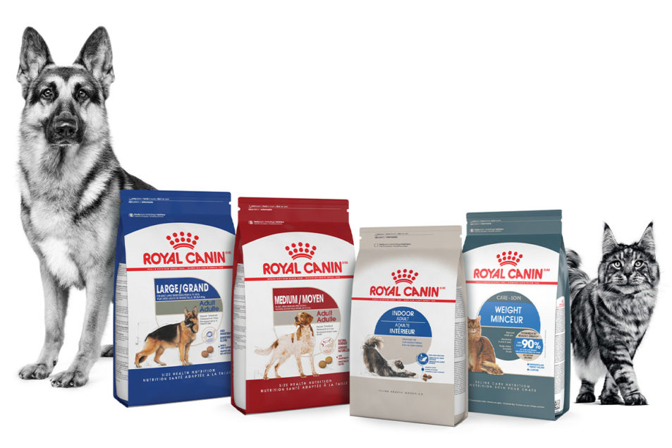 Why is Royal Canin Dog Food Out of Stock 