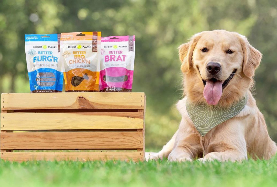 Bright Planet Pet products with a golden retriever