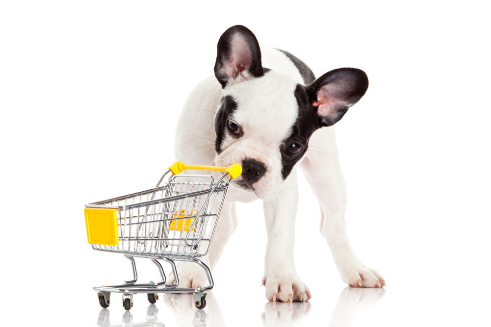 NielsenIQ shares pet food sales data, product category trends and grain-free implications