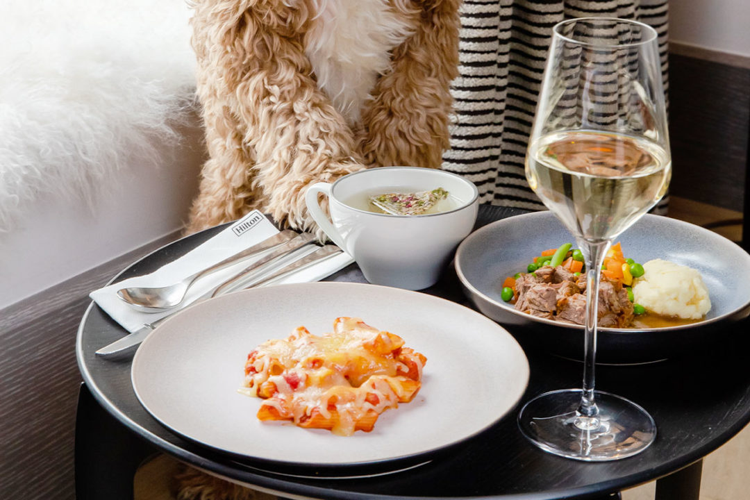 Global hotel chain adds dog menu for traveling companions