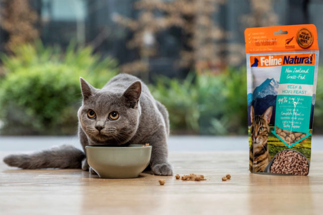 Natural Pet Food Group acquired by KKR