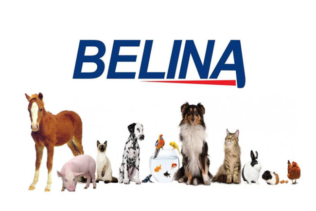 Nutresca plans to fully acquire Belina's pet food, feed and aquaculture businesses in Costa Rica