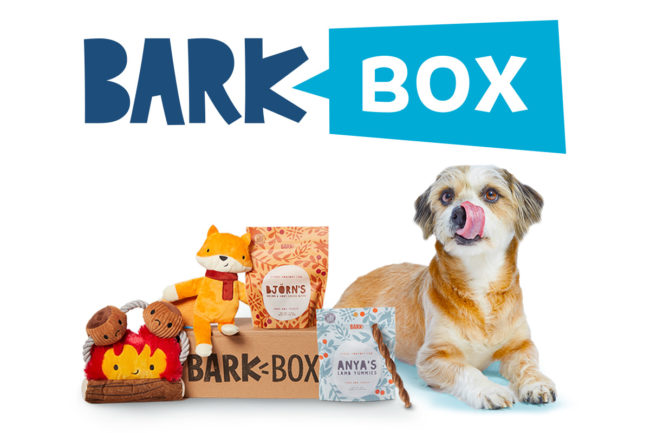 BARK officially acquired by Northern Star Acquisition Corp.