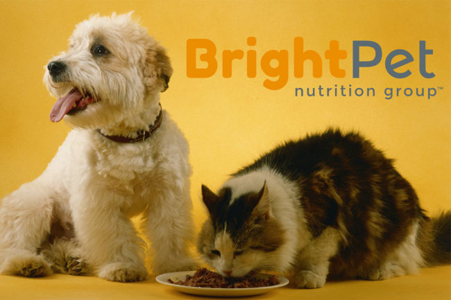Dave Kowal appointed CEO of BrightPet
