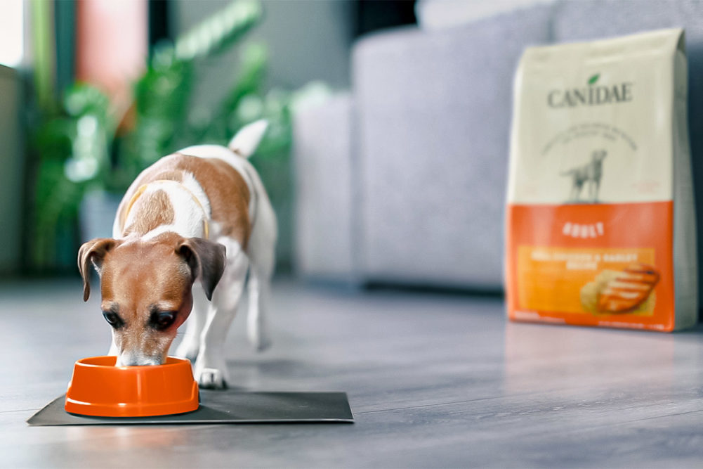 Canidae rolling out recruitment program to grow sales, marketing and corporate team