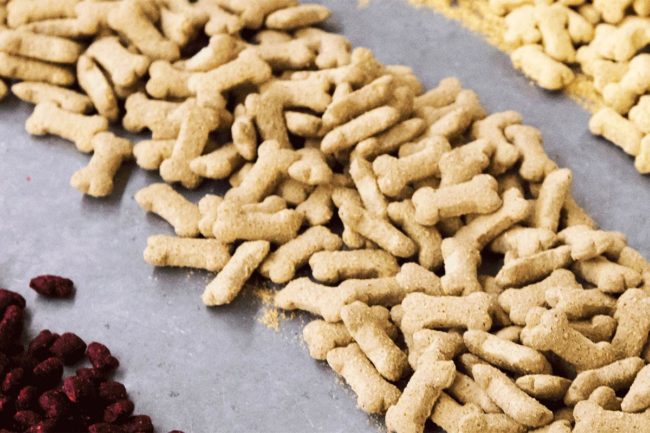 TAMU to host fifth annual pet food and treat extrusion course virtually