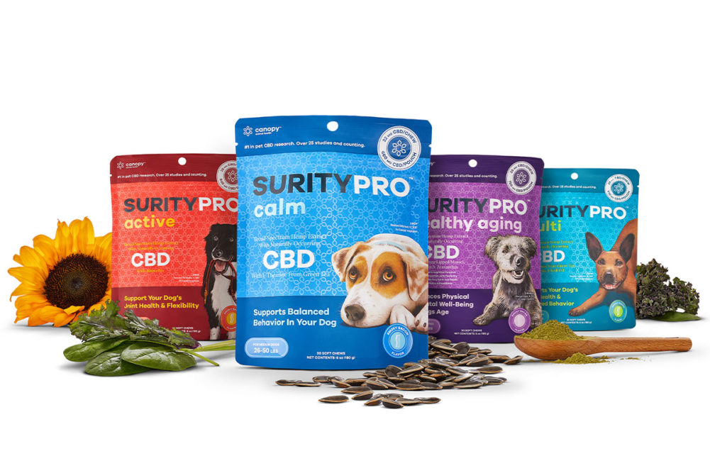 Canopy Growth releases two studies on the safety of CBD for dogs and cats