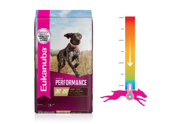 Eukanuba introduces food technology to keep core temperature down in active dogs
