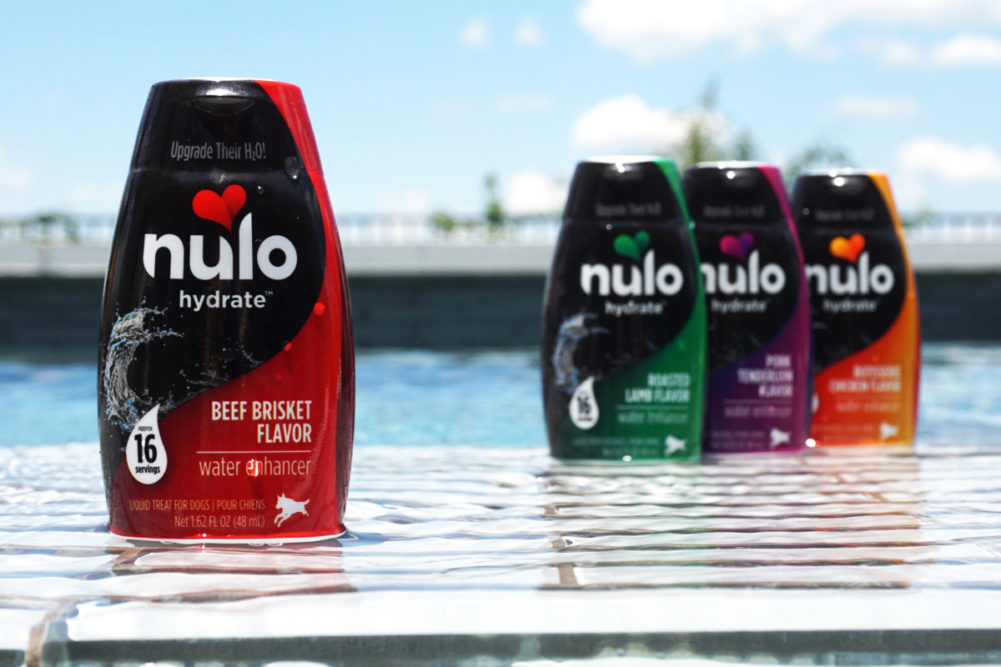 Nulo rolls out hydration supplement for dogs