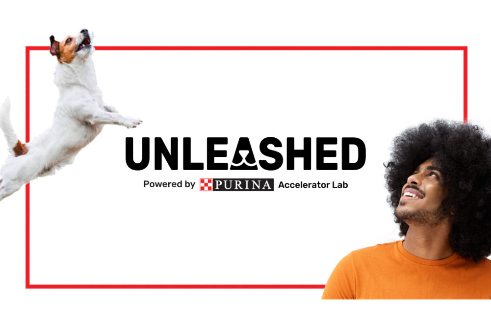 Biokind and Pawpot named among winners of Purina's 2021 UNLEASHED Accelerator Lab Programme