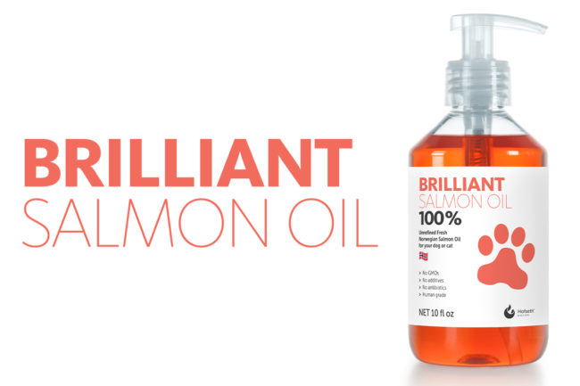 Hofseth to launch Brillian Salmon Oil pet supplement in North America