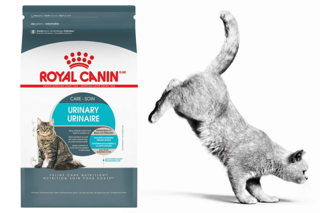 Royal Canin releases new urinary health diet for cats