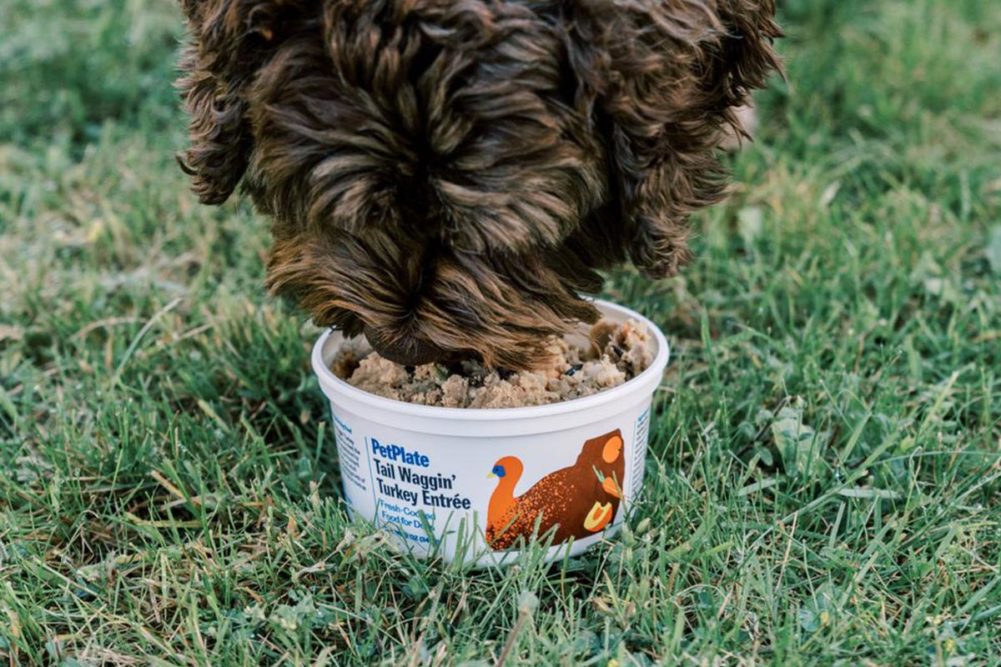 Pet Supplies Plus to carry PetPlate fresh dog foods at select US locations